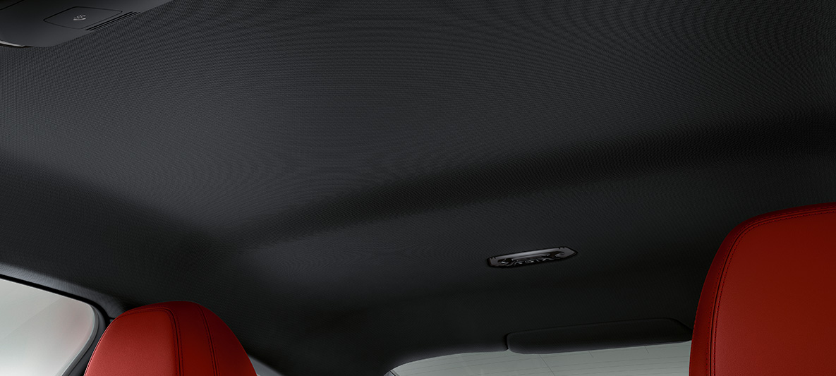 Таван BMW Individual лайстни на праговете BMW Серия 4 Купе G22 2020 Individual интериор Таван BMW Individual Аnthracite BMW Серия 4 Купе G22 2020