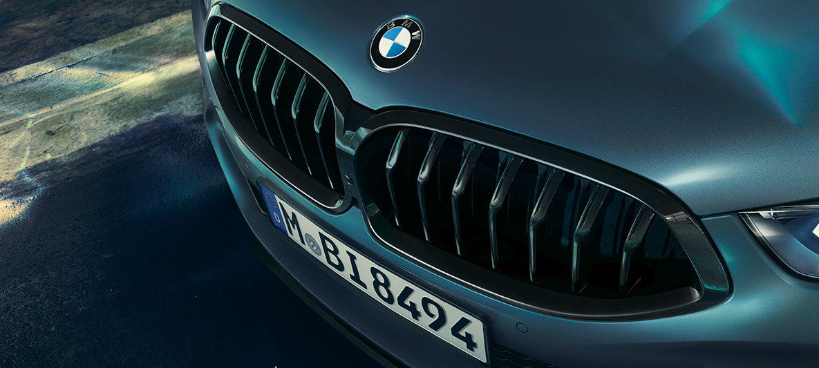 BMW M850i Купе First Edition, BMW бъбрековидна радиаторна решетка Снимка отблизо на BMW бъбрековидната радиаторна решетка на BMW M850i Купе First Edition